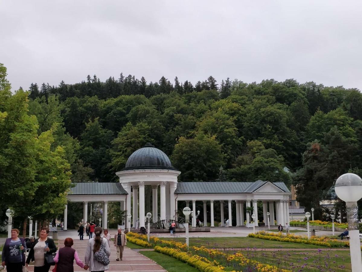 Апартаменты Central Marienbad Apartaments Марианске-Лазне